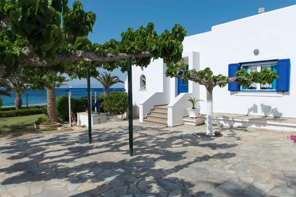 Palmaya Villa, Unique Seafront Experience Vája Kültér fotó