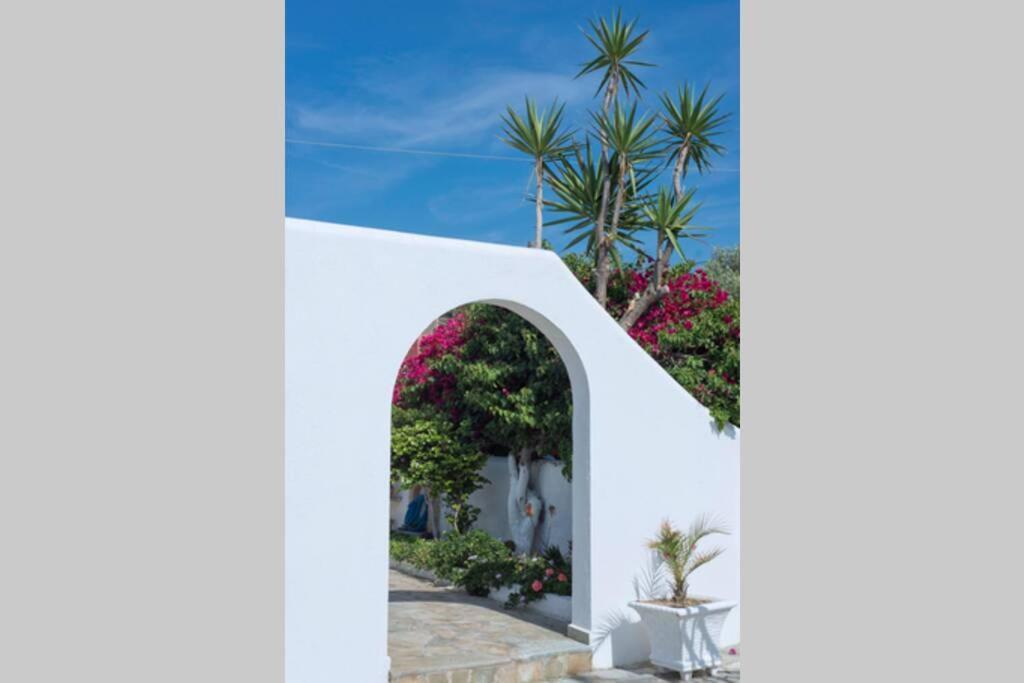 Palmaya Villa, Unique Seafront Experience Vája Kültér fotó