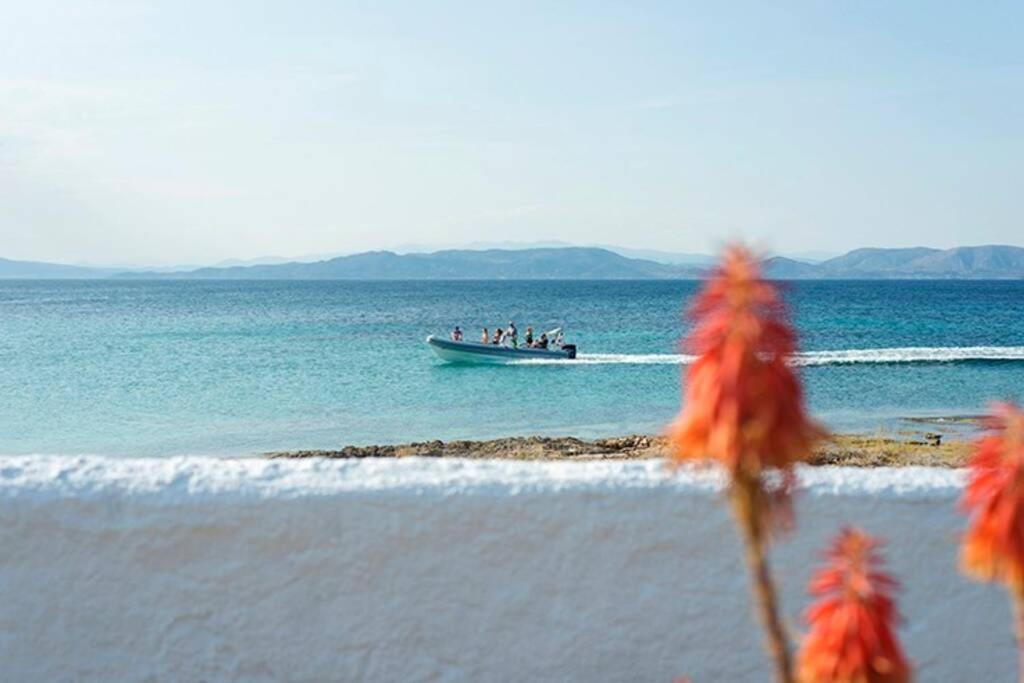 Palmaya Villa, Unique Seafront Experience Vája Kültér fotó