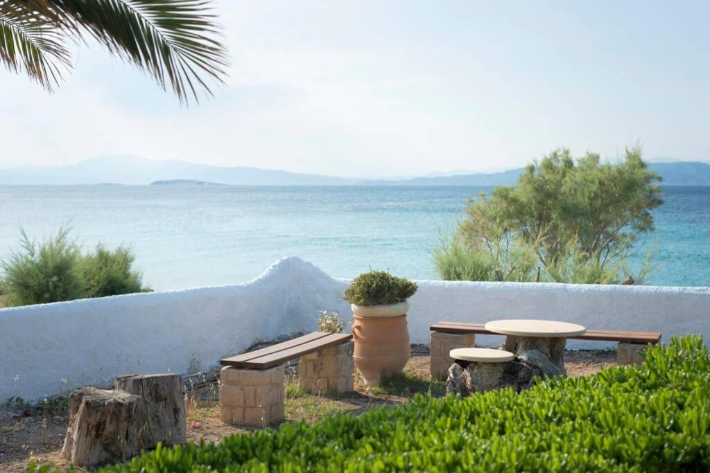 Palmaya Villa, Unique Seafront Experience Vája Kültér fotó